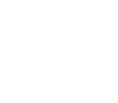 Kaleido Brasil